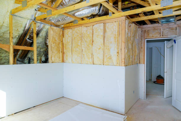 Best Professional Insulation Contractor  in Lake Delta, NY