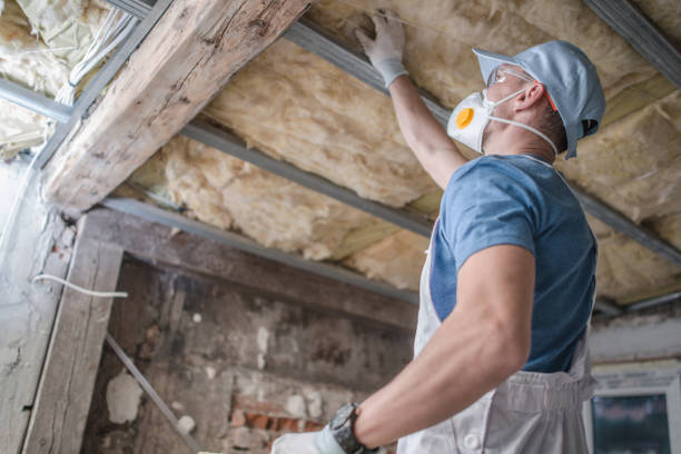 Best Garage Insulation Installation  in Lake Delta, NY