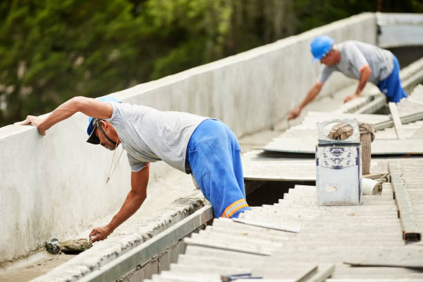 Best Insulation Removal  in Lake Delta, NY