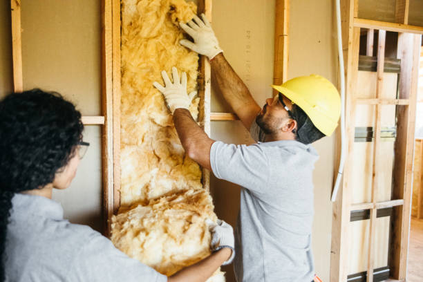 Best Insulation Contractor Near Me  in Lake Delta, NY