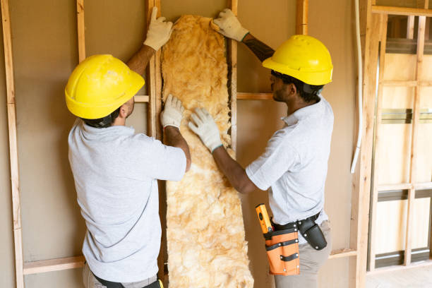 Best Insulation Contractors for Homes  in Lake Delta, NY