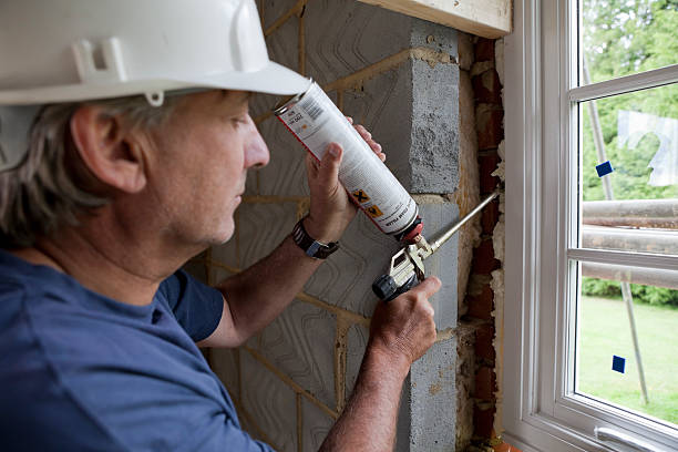 Best Local Insulation Services  in Lake Delta, NY