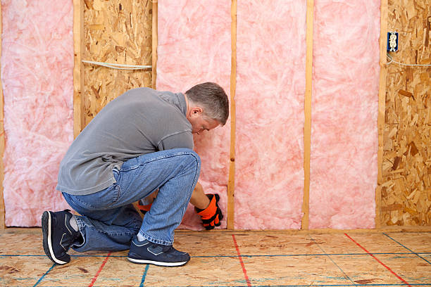 Best Soundproof Insulation Installation  in Lake Delta, NY